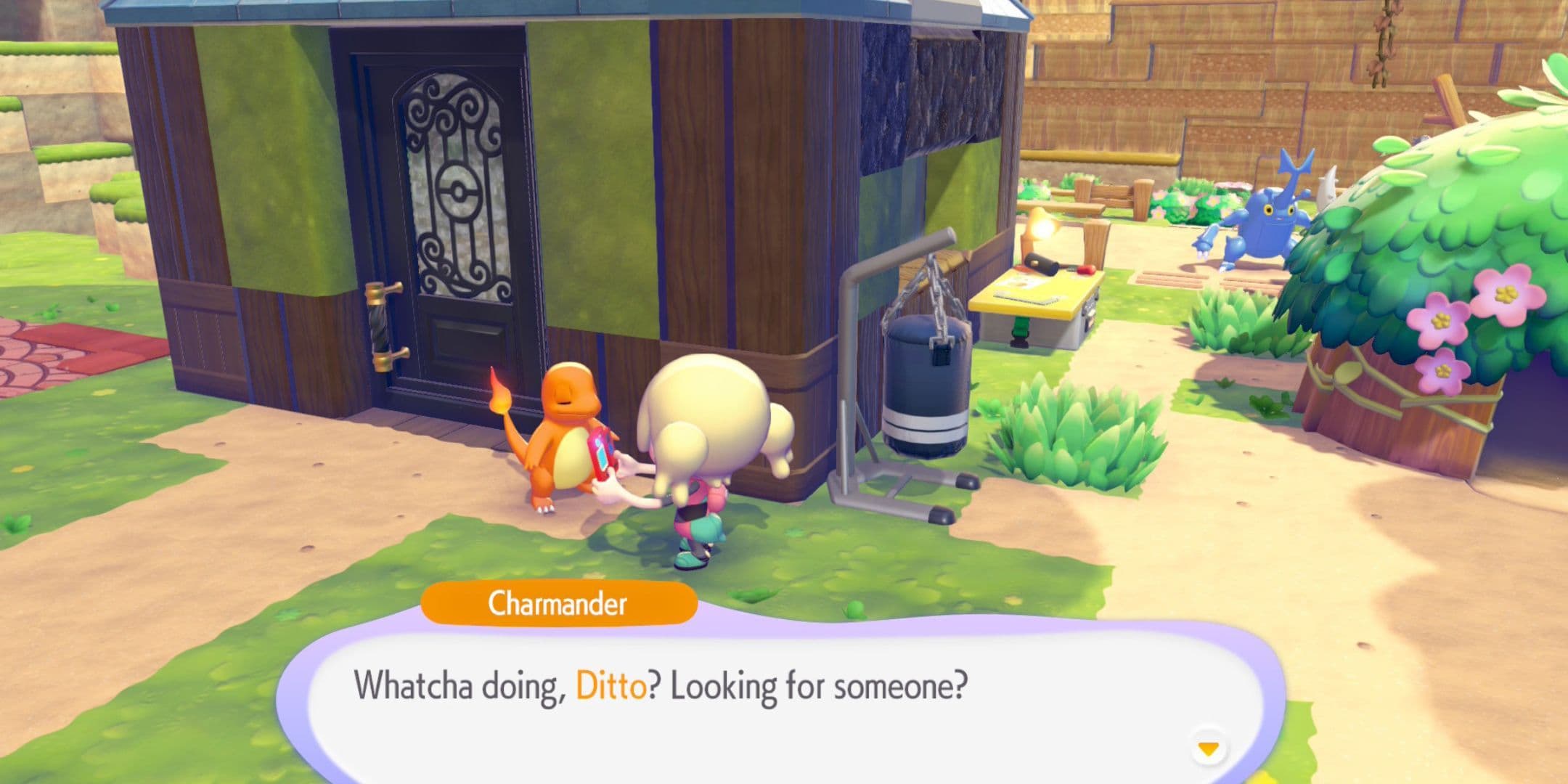 Searching for a Pokemon in Pokopia asking Charmander